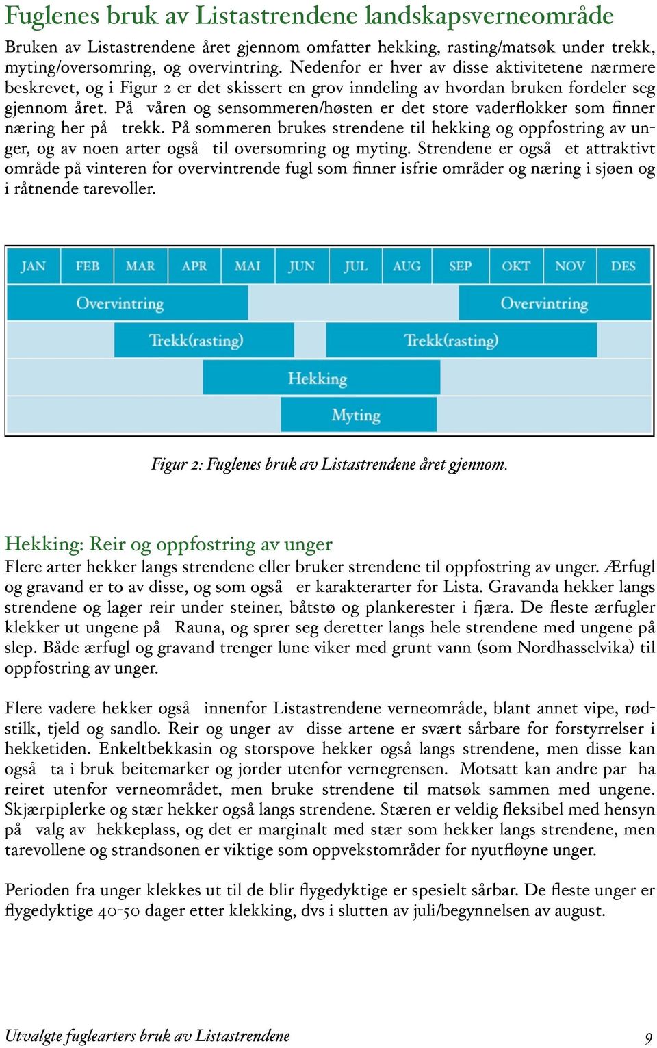 På våren og sensommeren/høsten er det store vaderflokker som finner næring her på trekk.