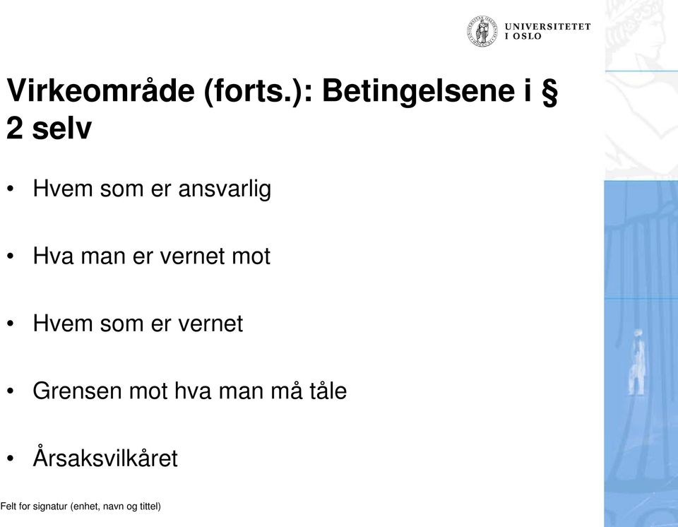 ansvarlig Hva man er vernet mot Hvem