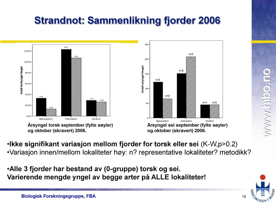 0 Bjærangsfjord Holandsfjord Nordfjord Årsyngel sei september (fylte søyler) og oktober (skravert) 2006. Ikke signifikant variasjon mellom fjorder for torsk eller sei (K-W,p>0.