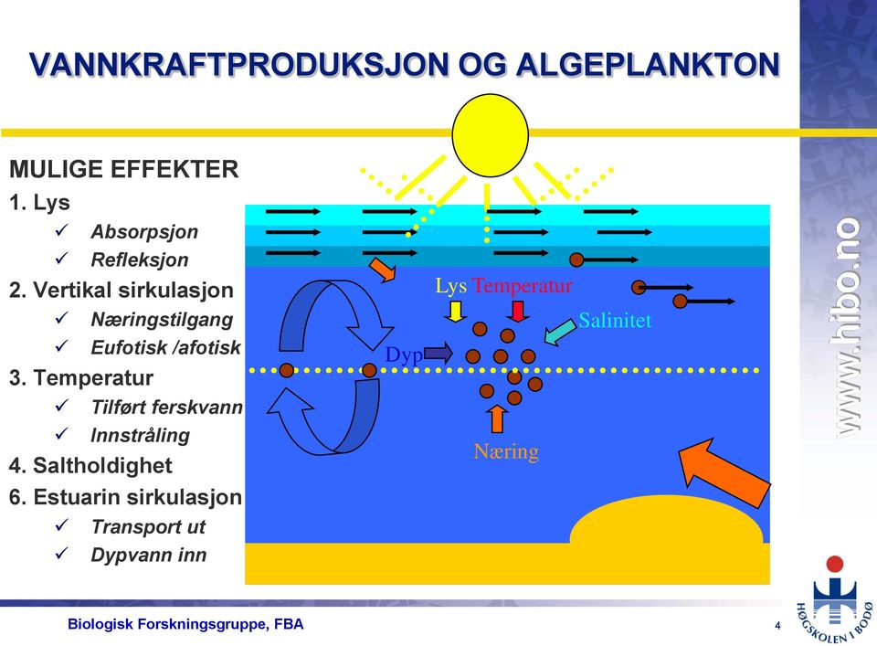 Vertikal sirkulasjon Næringstilgang Eufotisk /afotisk 3.