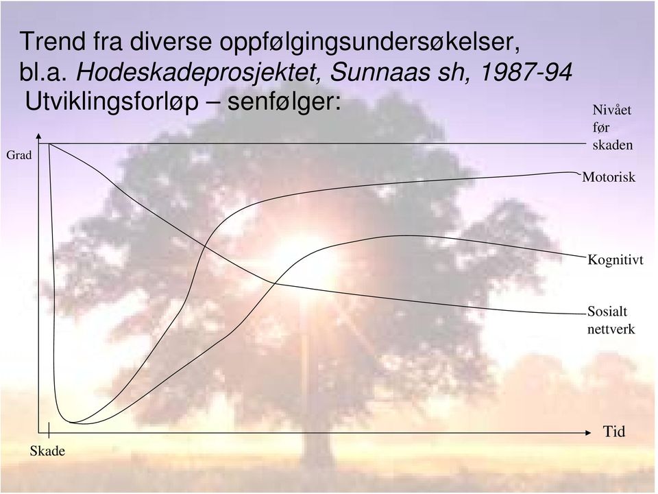 Utviklingsforløp senfølger: Grad Nivået før