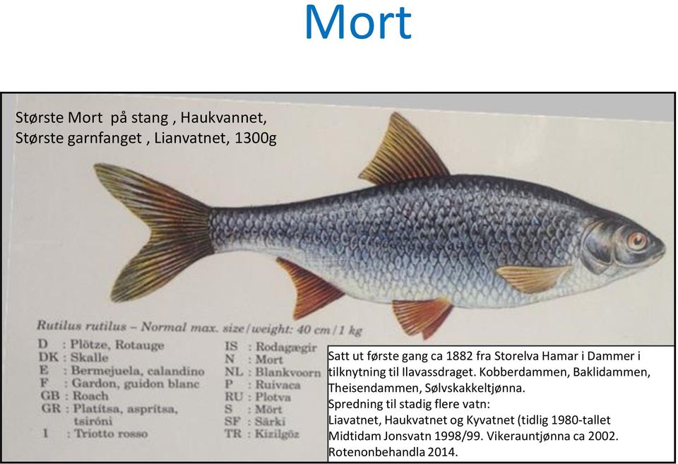 Kobberdammen, Baklidammen, Theisendammen, Sølvskakkeltjønna.