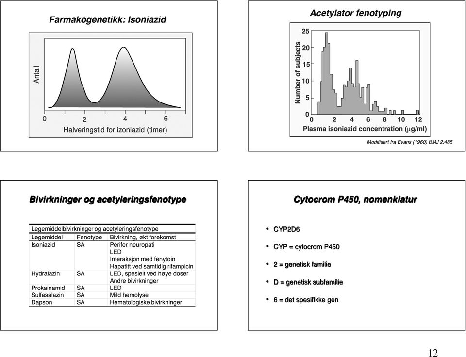 Bivirkninger og acetyleringsfenotype Cytocrom P450,