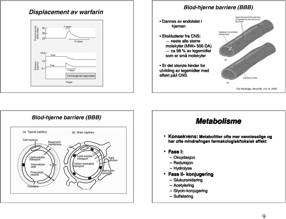 Blod-hjerne barriere (BBB) Metabolisme (a) Typical capillary Cell nucleus Lipid-soluble transport Intercellular cleft Pinocytotic vesicle Fenestra Basement membrane (b) Brain capillary