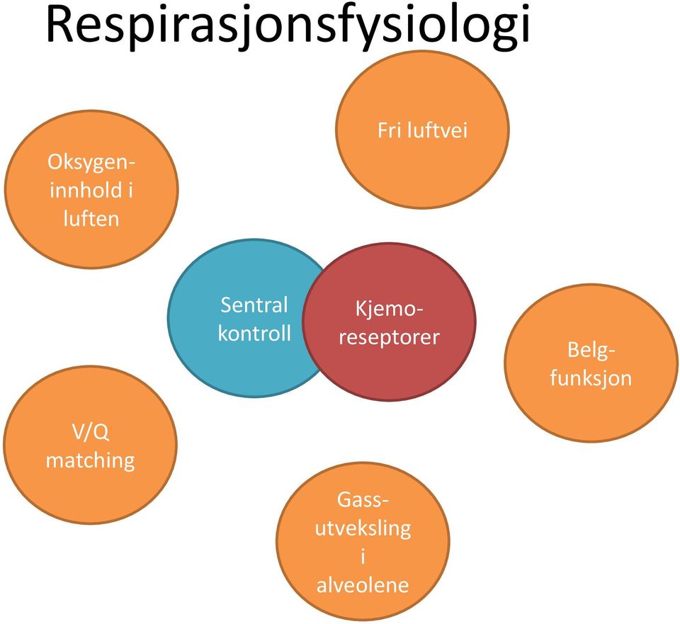 Sentral kontroll Kjemoreseptorer