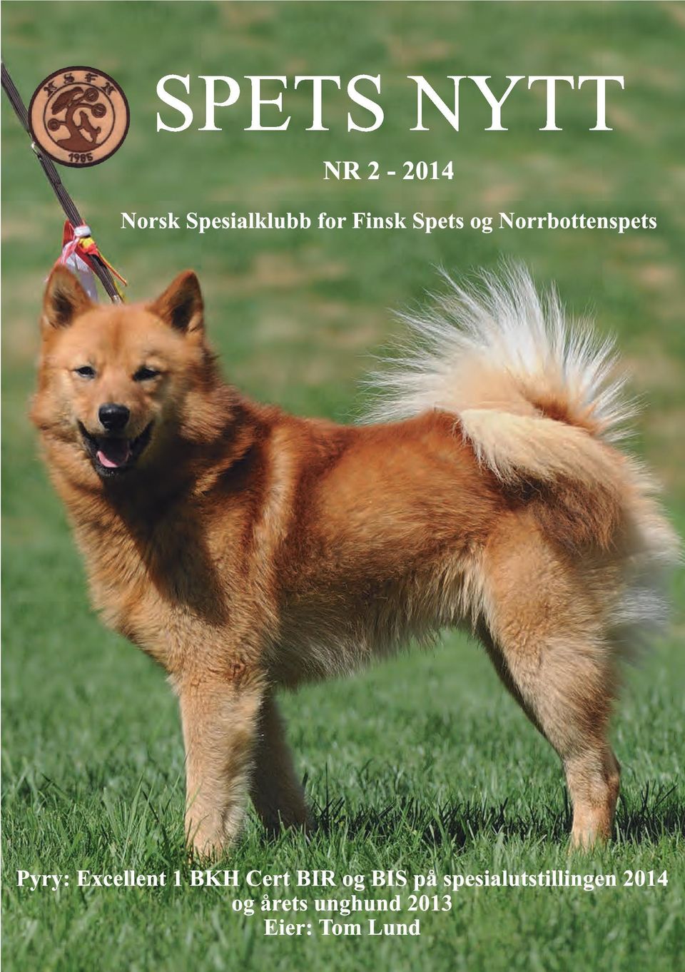 SPETS NYTT NR Norsk Spesialklubb for Finsk Spets og Norrbottenspets - PDF  Free Download