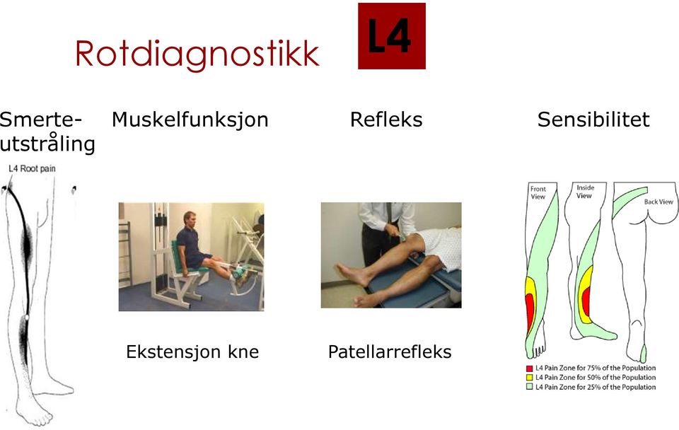 Sensibilitet utstråling