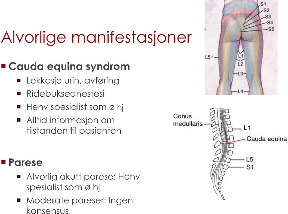 informasjon om tilstanden til pasienten Parese Alvorlig akutt