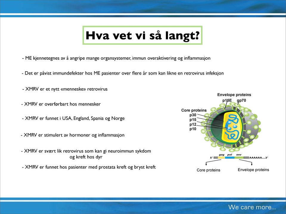 kan likne en retrovirus infeksjon - XMRV er et nytt «menneske» retrovirus Envelope proteins p15e gp70 - XMRV er overførbart hos mennesker - XMRV er