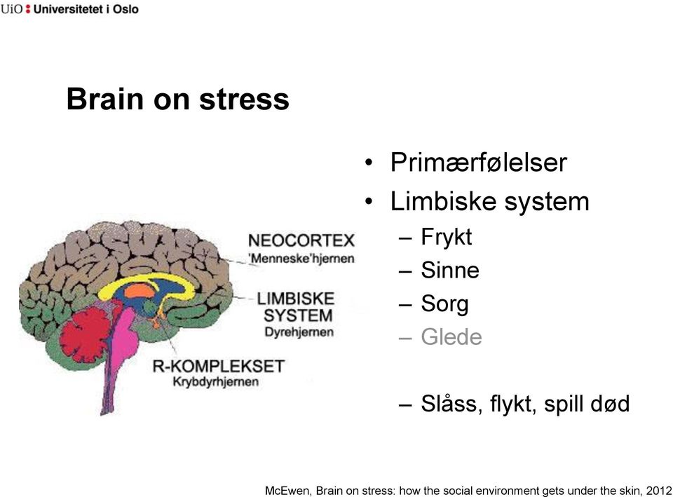 flykt, spill død McEwen, Brain on stress: