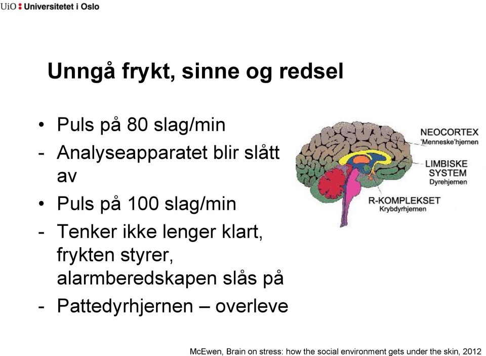 frykten styrer, alarmberedskapen slås på - Pattedyrhjernen overleve