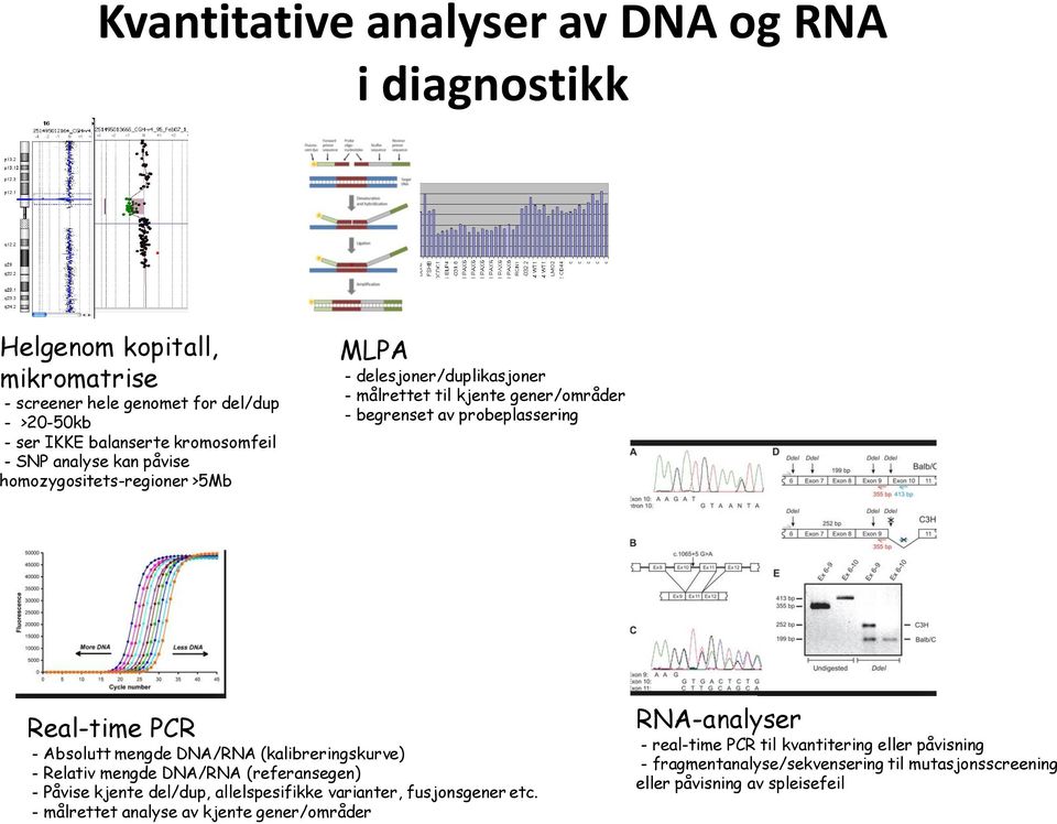 Absolutt mengde DNA/RNA (kalibreringskurve) - Relativ mengde DNA/RNA (referansegen) - Påvise kjente del/dup, allelspesifikke varianter, fusjonsgener etc.