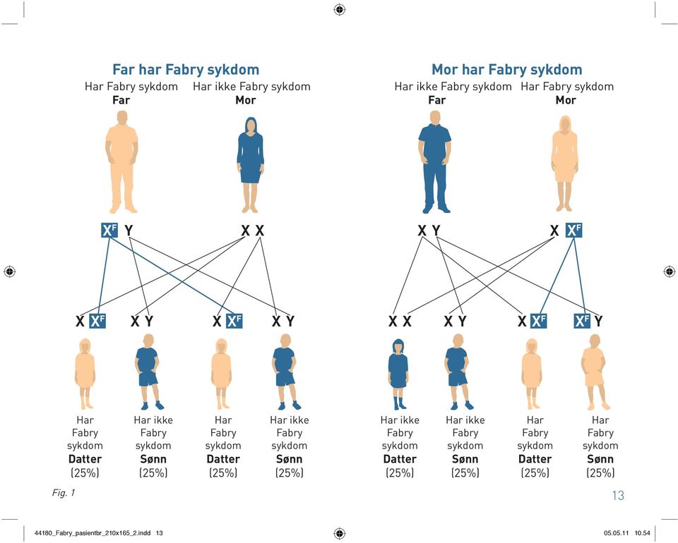 (25%) Har Fabry sykdom Datter (25%) Har ikke Fabry sykdom Sønn (25%) Har ikke Fabry sykdom Datter (25%) Har ikke Fabry sykdom