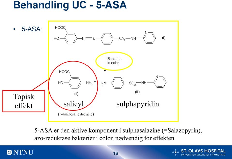 aktive komponent i sulphasalazine (=Salazopyrin),