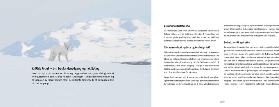 Bestandstandsstatus 2011 De siste tallene (2011) tyder på at vi har omtrent 80 repro duktive fjellrev i Norge og 120 individer i Sverige. I Finland har det ikke vært påvist yngling siden 1996.