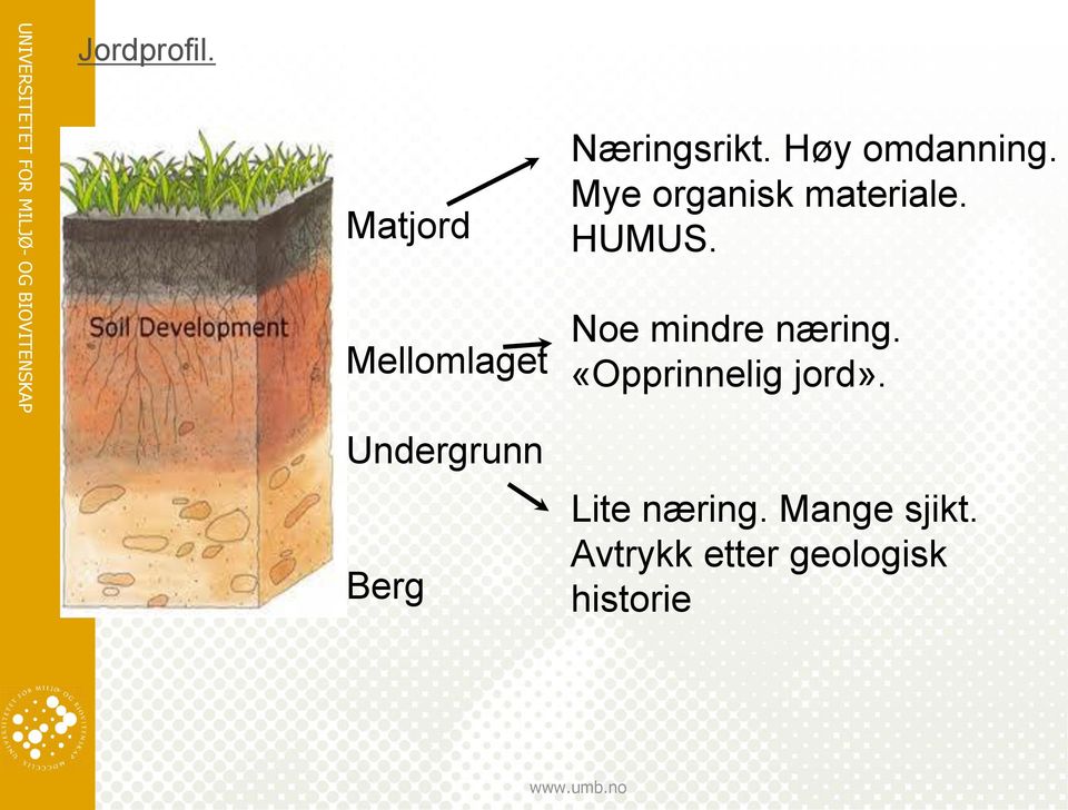 Høy omdanning. Mye organisk materiale. HUMUS.