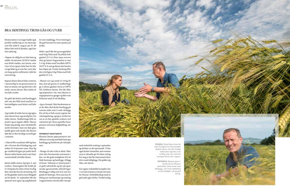 Rapsen så veldig fin ut i fjor høst og nådde vel nærmere 10/10/10-stadiet enn 8/8/8-stadiet, sier Jørem, som viser til at rapsen helst bør ha åtte varige blad og at rota bør være åtte cm lang og åtte