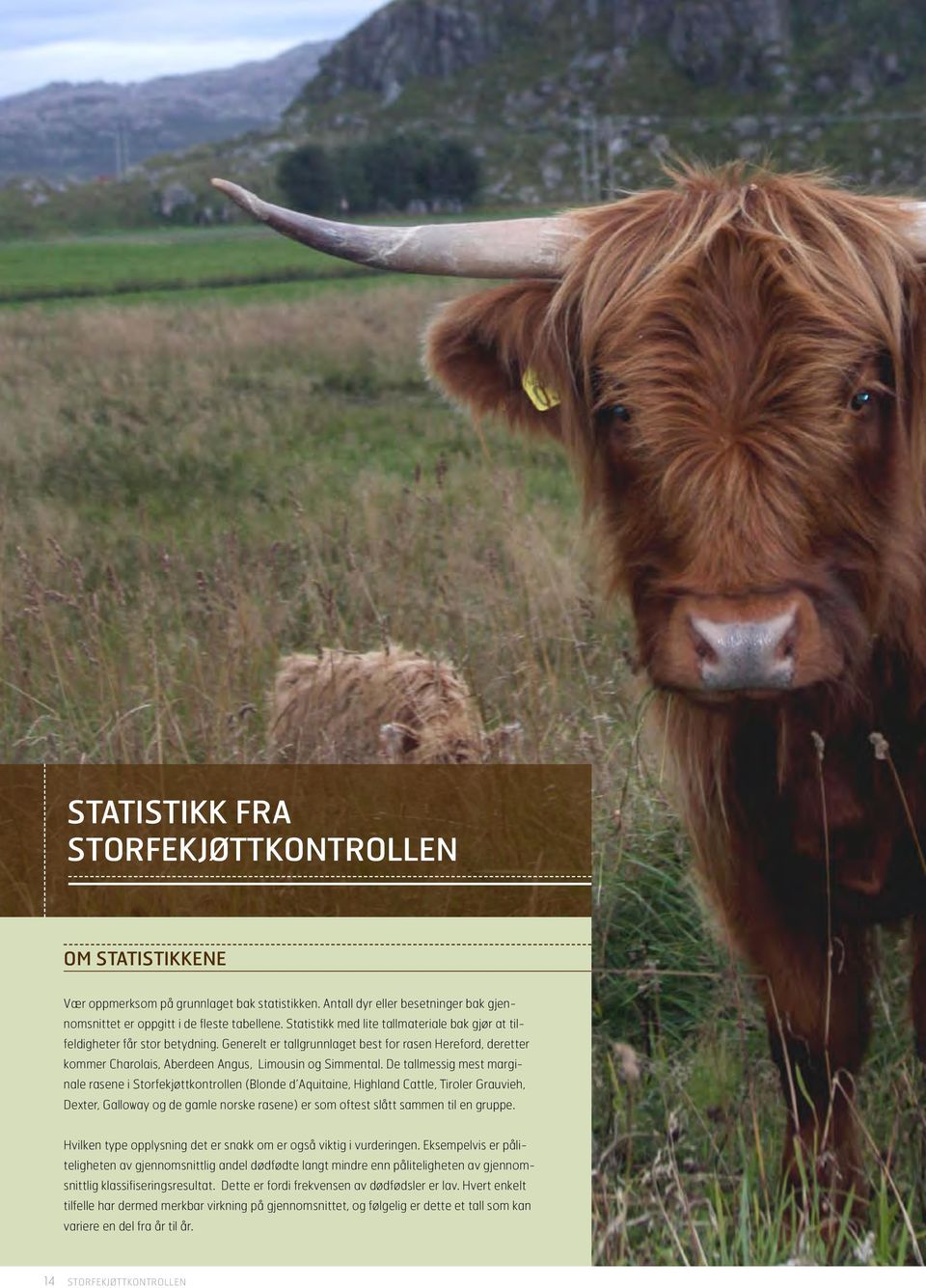 De tallmessig mest marginale rasene i Storfekjøttkontrollen (Blonde d Aquitaine, Highland Cattle, Tiroler Grauvieh, Dexter, Galloway og de gamle norske rasene) er som oftest slått sammen til en