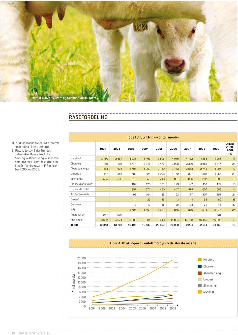 Tabell 3: Utvikling av antall mordyr 2001 2002 2003 2004 2005 2006 2007 2008 2009 Økning 2008-2009 i % Hereford 2 180 2 664 3 021 3 463 3 806 4 016 4 152 4 253 4 961 17 Charolais 1 159 1 492 1 774 2