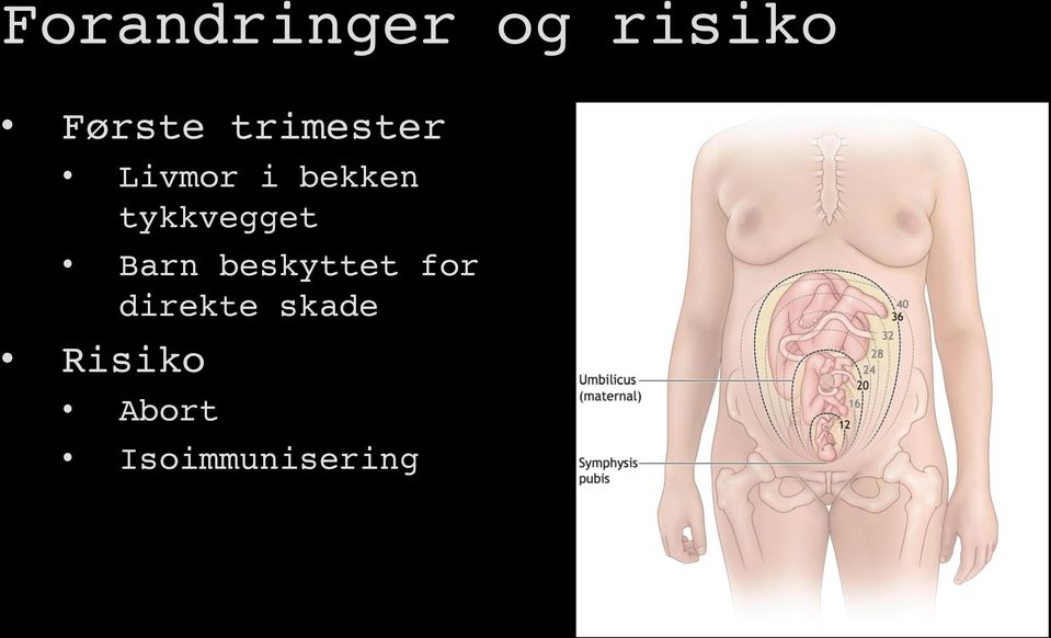 Livmor i bekken tykkvegget!