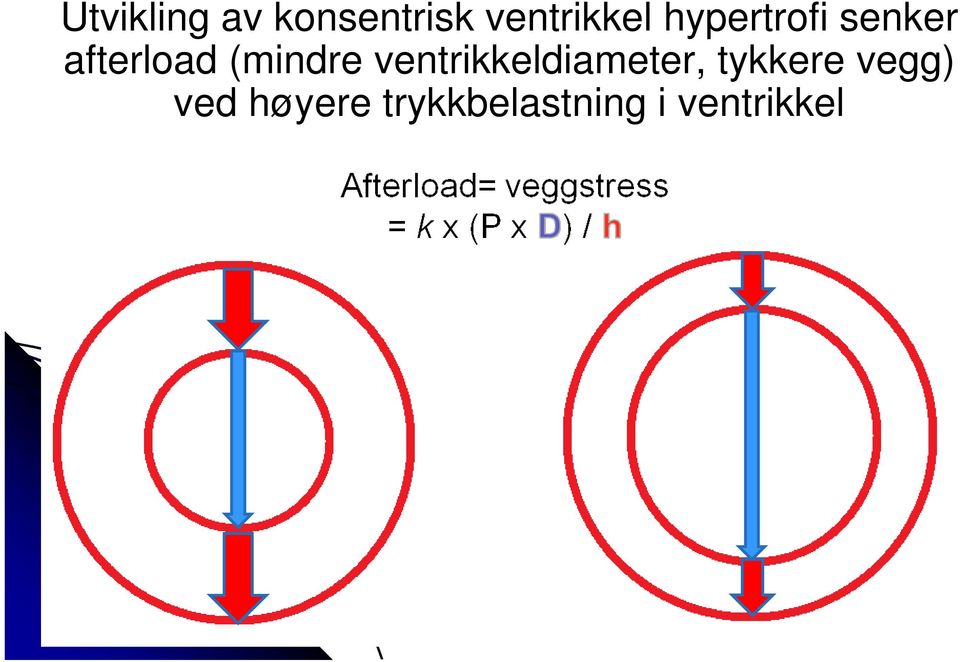 ventrikkeldiameter, tykkere vegg)