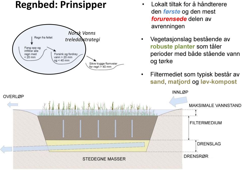 Vegetasjonslag bestående av robuste planter som tåler perioder med både