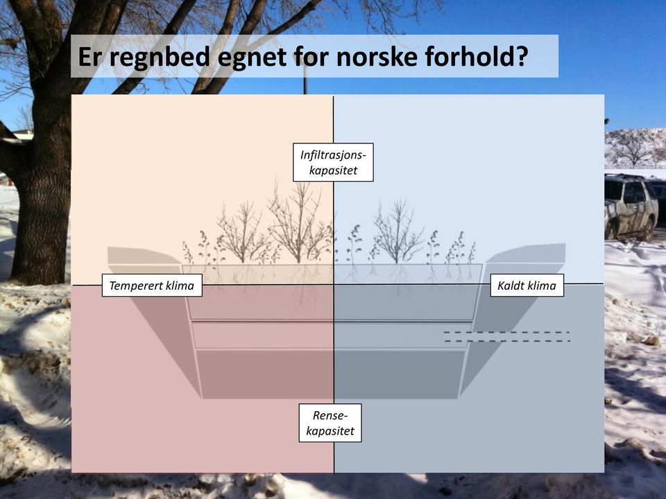 Infiltrasjonskapasitet