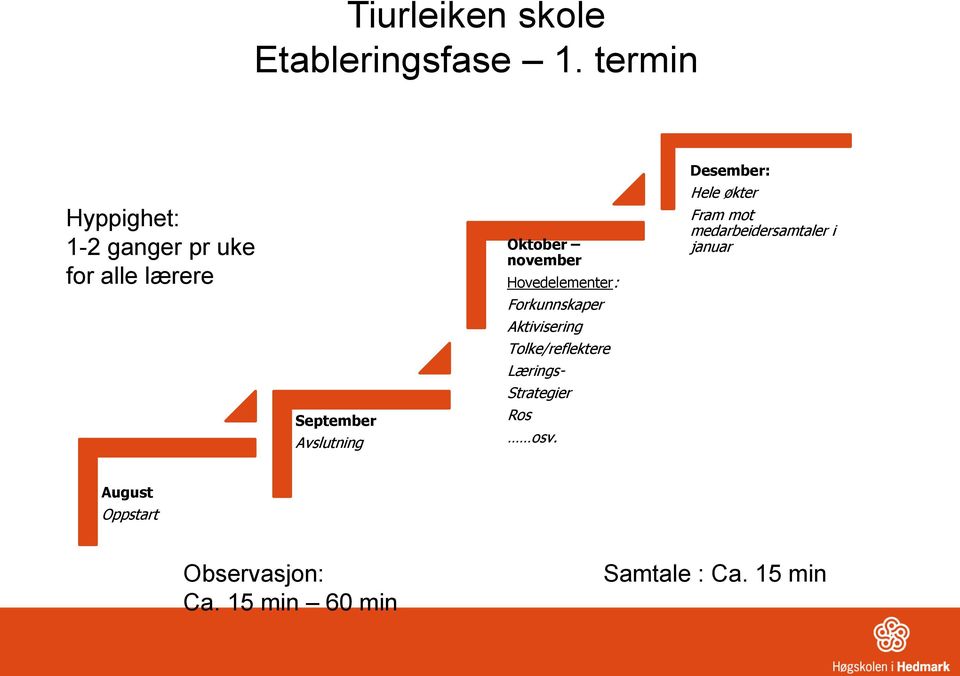 november Hovedelementer: Forkunnskaper Aktivisering Tolke/reflektere Lærings-