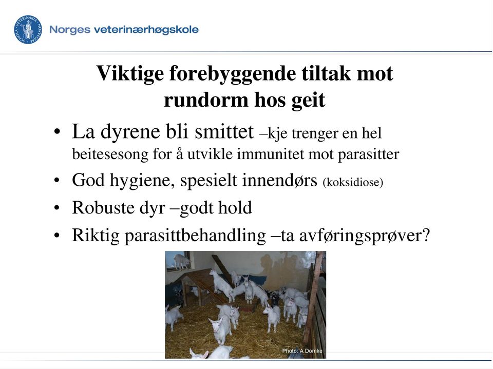 mot parasitter God hygiene, spesielt innendørs (koksidiose)