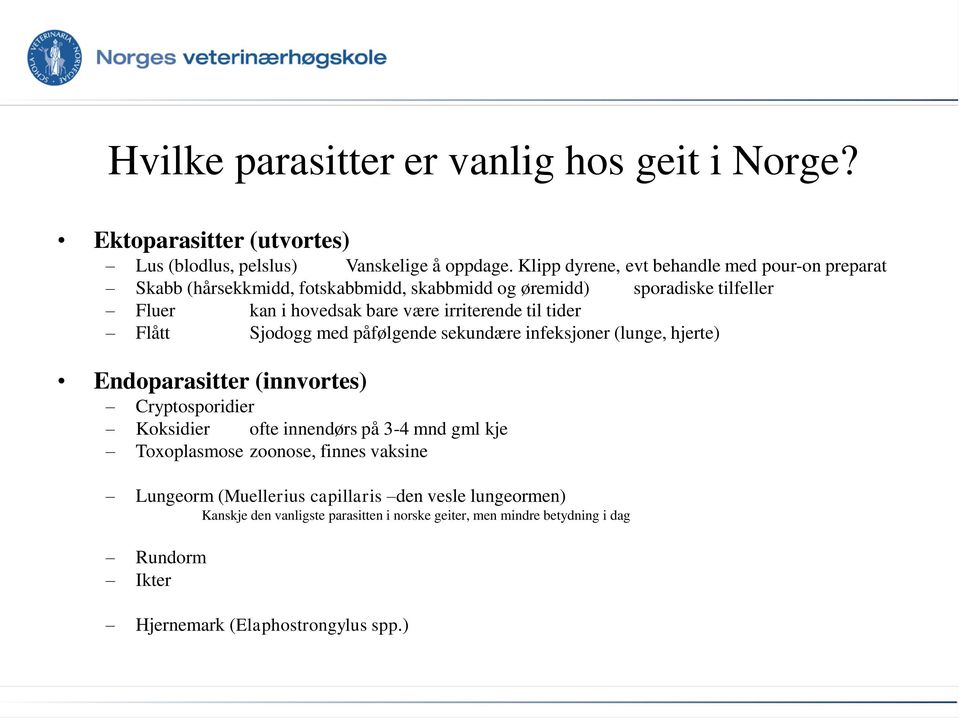 irriterende til tider Flått Sjodogg med påfølgende sekundære infeksjoner (lunge, hjerte) Endoparasitter (innvortes) Cryptosporidier Koksidier ofte innendørs på 3-4