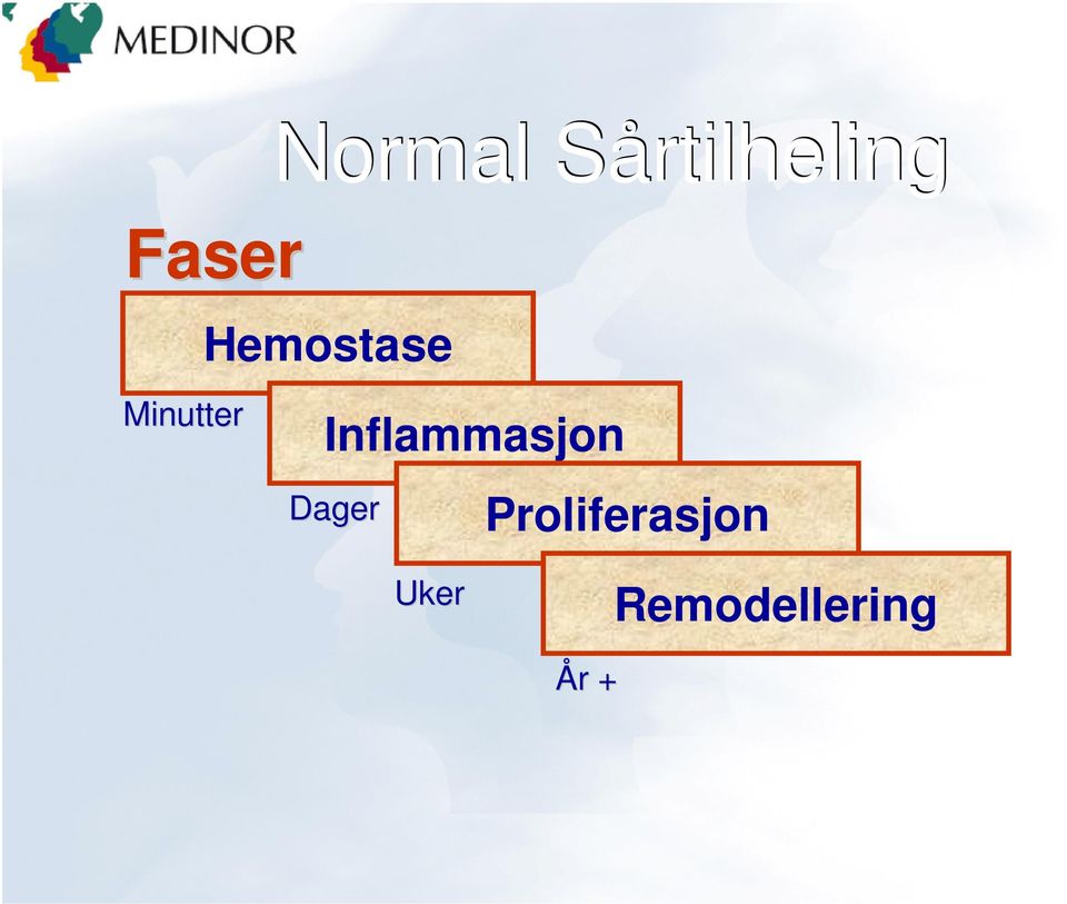 Sårtilheling Hemostase