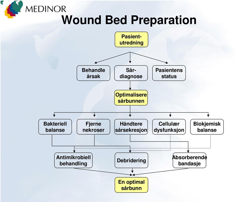 nekroser Håndtere sårsekresjon Cellulær dysfunksjon Biokjemisk balanse