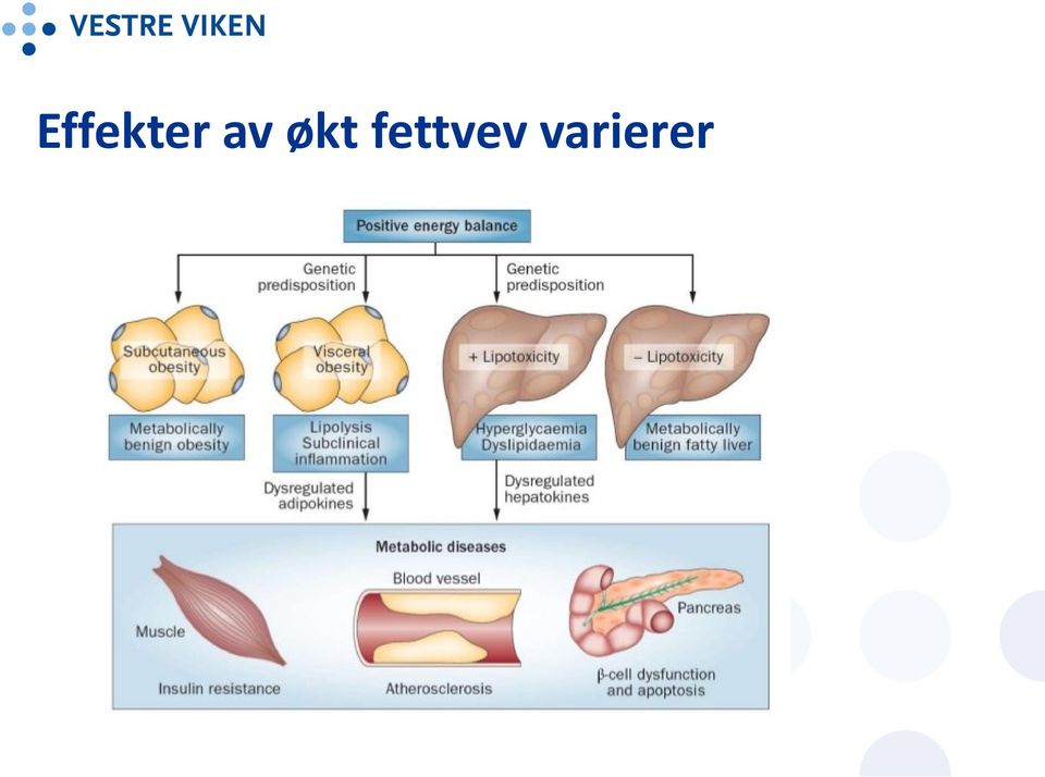 fettvev