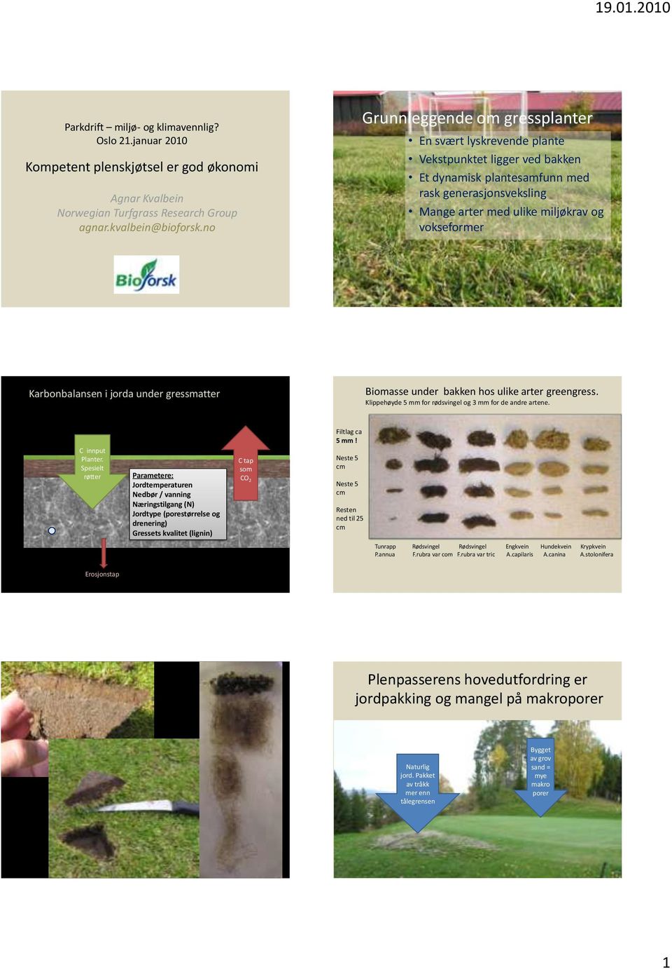 Karbonbalansen i jorda under gressmatter Biomasse under bakken hos ulike arter greengress. Klippehøyde 5 mm for rødsvingel og 3 mm for de andre artene. C innput Planter.