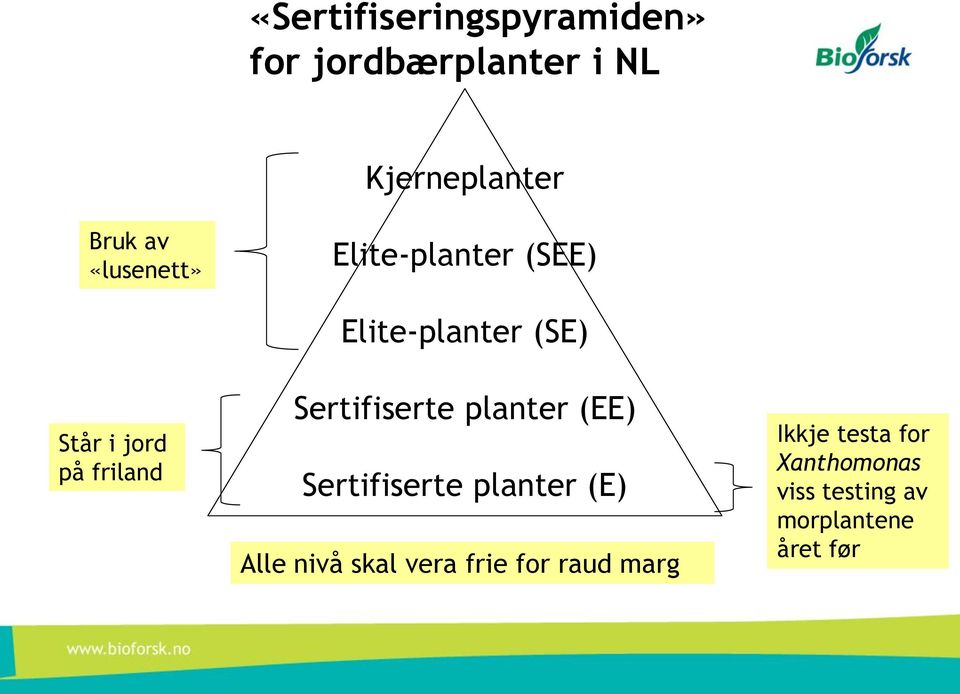 Sertifiserte planter (EE) Sertifiserte planter (E) Alle nivå skal vera