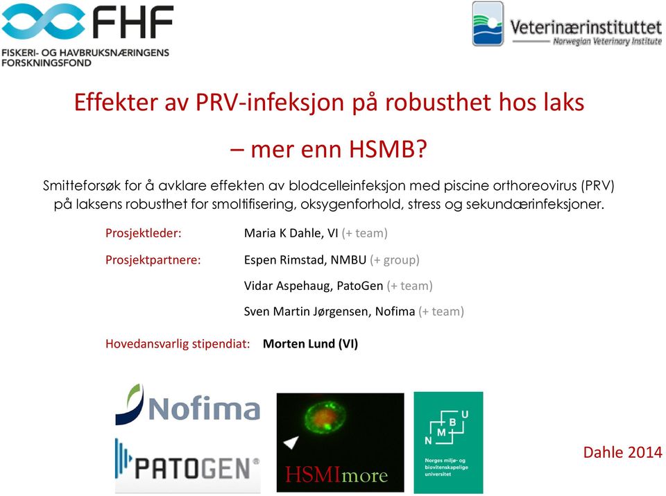 smoltifisering, oksygenforhold, stress og sekundærinfeksjoner.