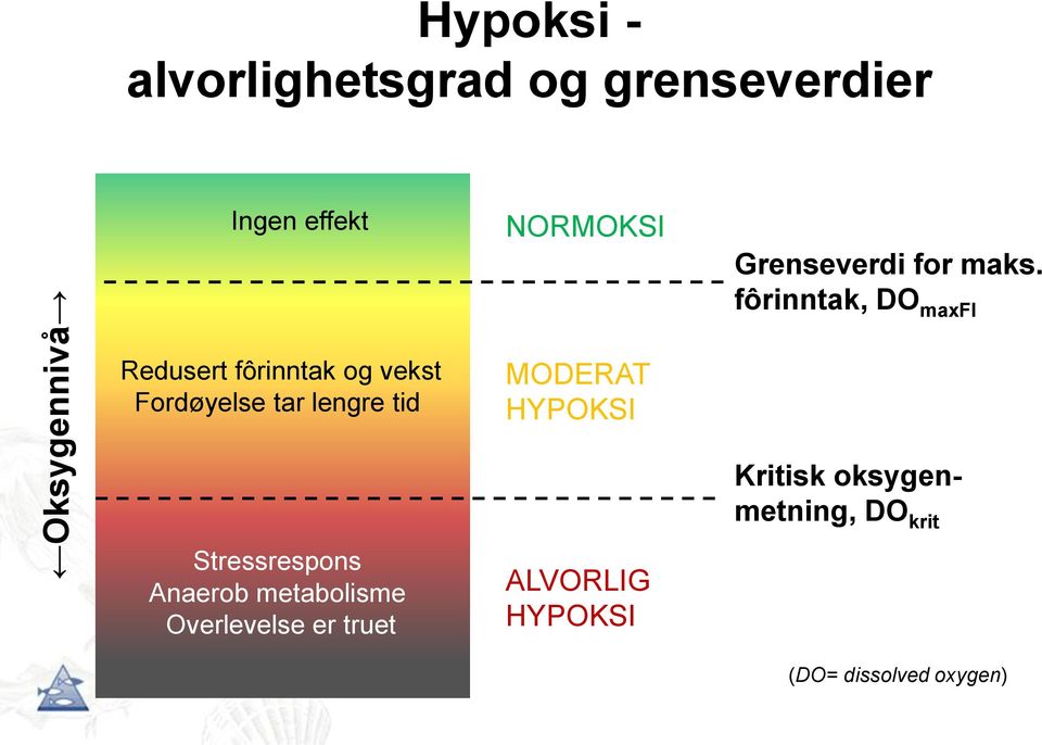 fôrinntak, DO maxfi Redusert fôrinntak og vekst Fordøyelse tar lengre tid