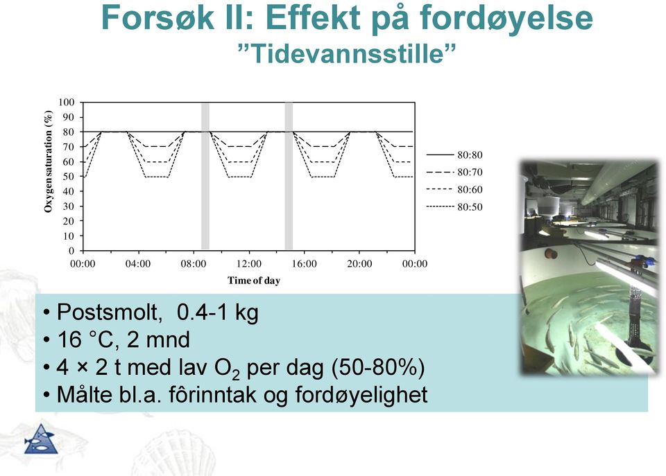 00:00 Time of day 80:80 80:70 80:60 80:50 Postsmolt, 0.