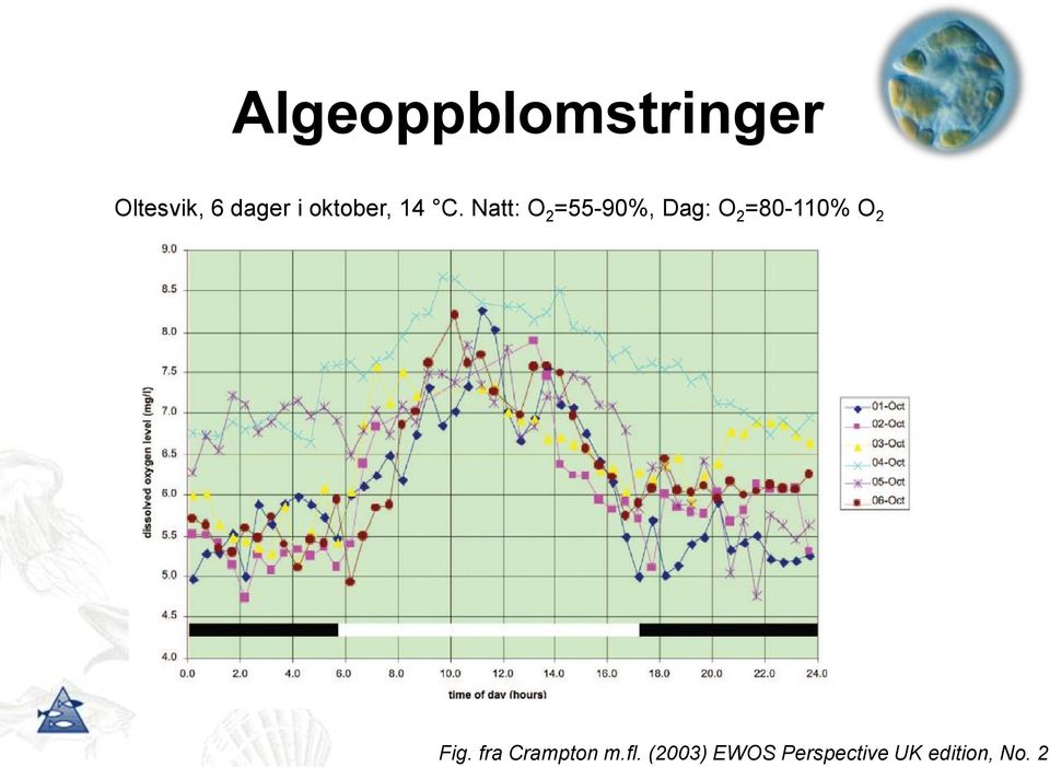 2 Algeoppblomstringer Oltesvik, 6 dager