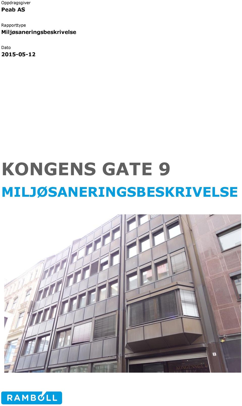 Miljøsaneringsbeskrivelse