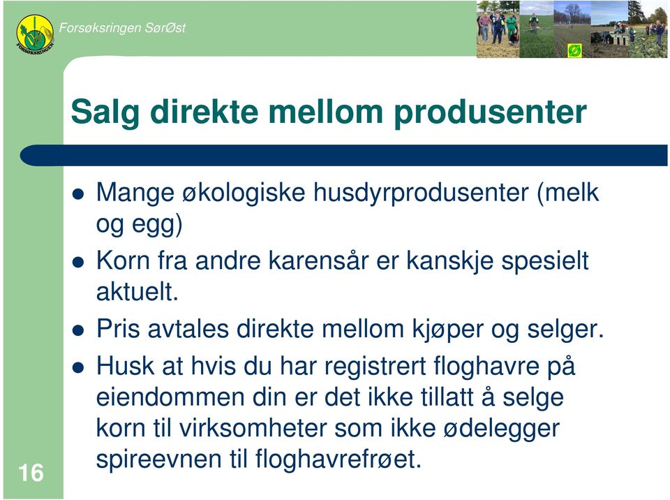 Pris avtales direkte mellom kjøper og selger.