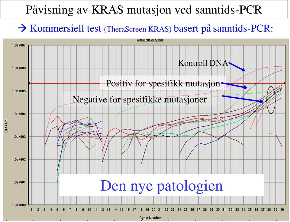 sanntids-pcr: Kontroll DNA Positiv for spesifikk