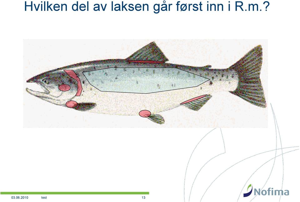 først inn i R.m.