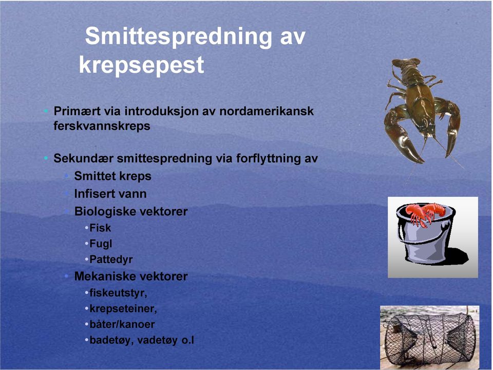 forflyttning av Smittet kreps Infisert vann Biologiske vektorer Fisk