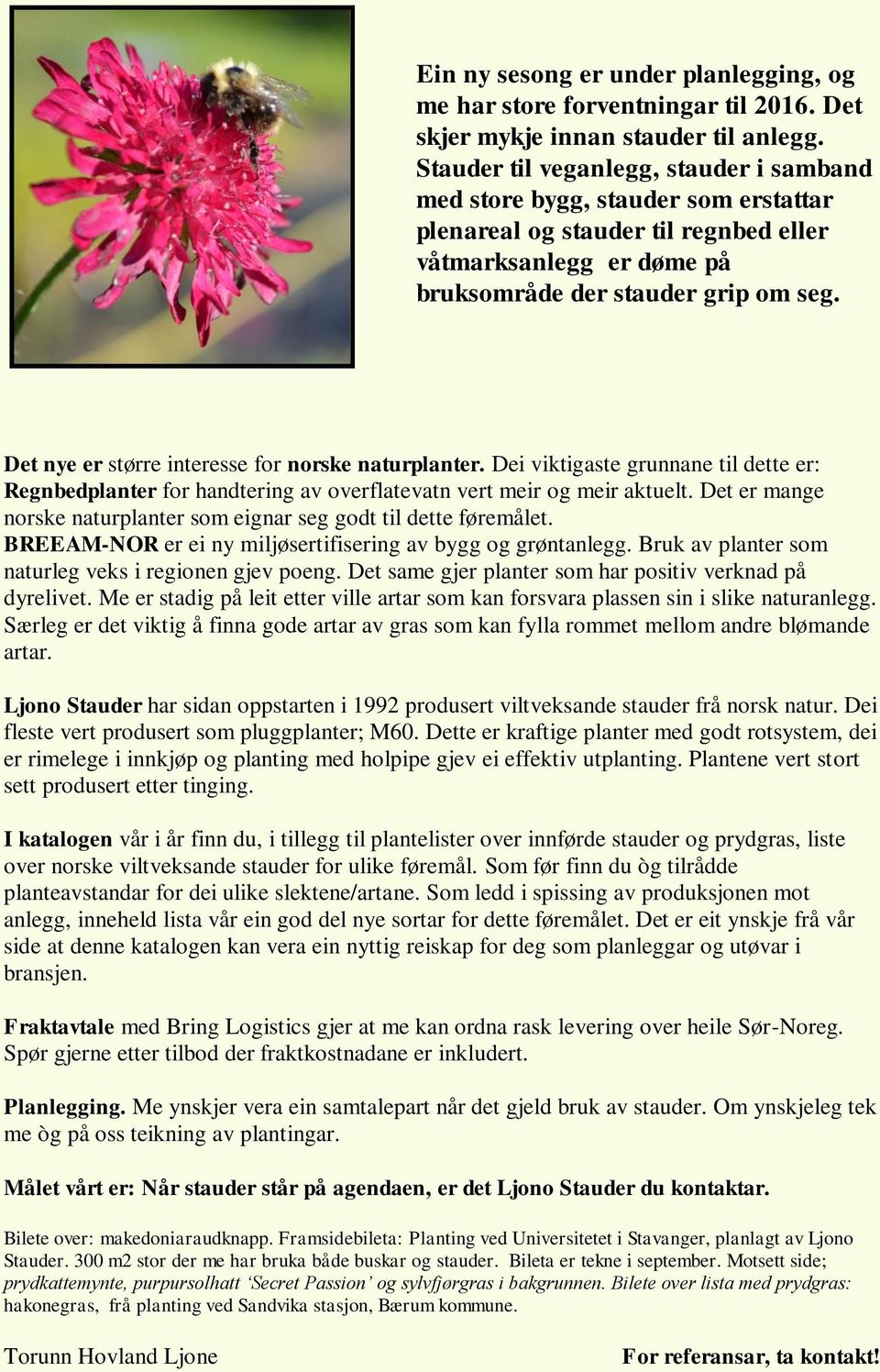 Det nye er større interesse for norske naturplanter. Dei viktigaste grunnane til dette er: Regnbedplanter for handtering av overflatevatn vert meir og meir aktuelt.