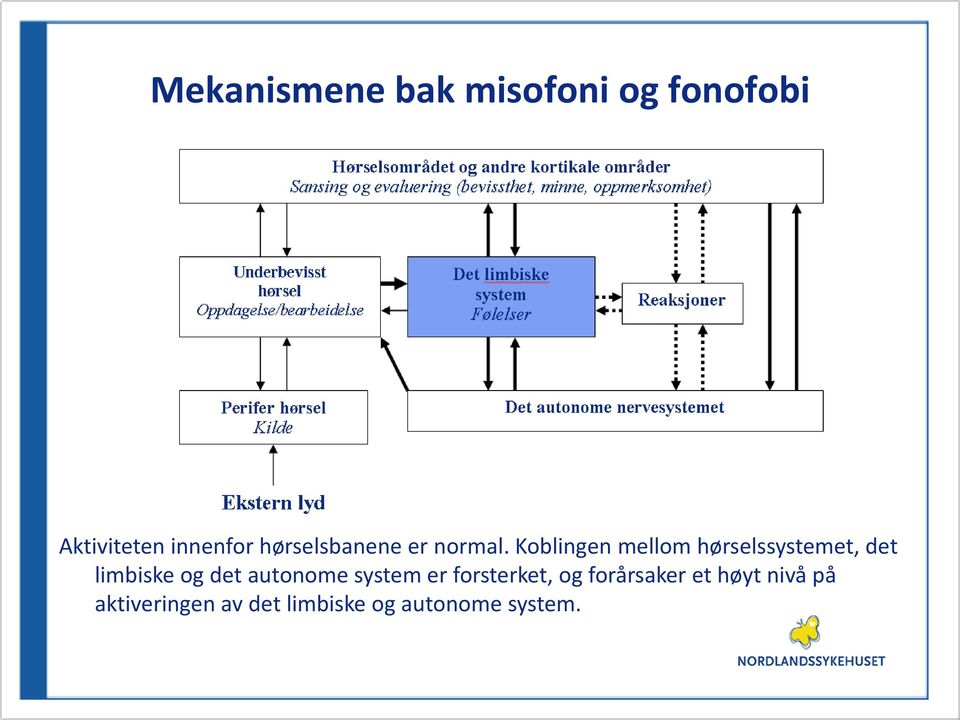 Koblingen mellom hørselssystemet, det limbiske og det