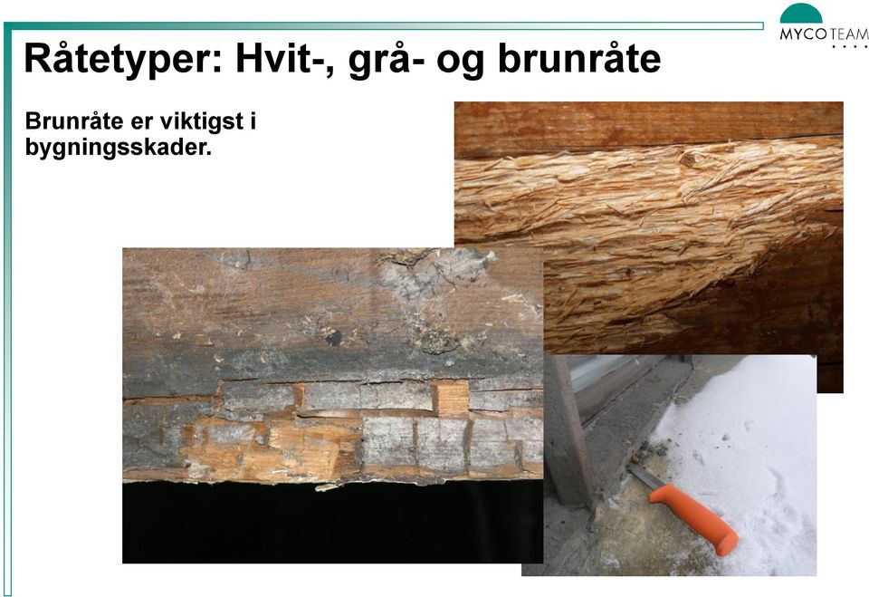 Brunråte er