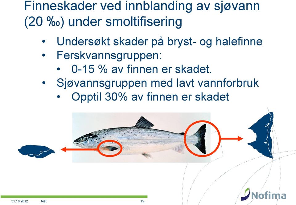 Ferskvannsgruppen: 0-15 % av finnen er skadet.