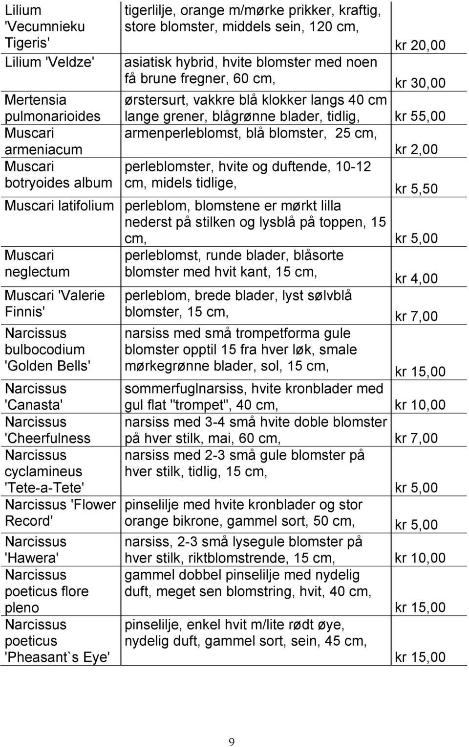 Muscari perleblomster, hvite og duftende, 10-12 botryoides album cm, midels tidlige, kr 5,50 Muscari latifolium perleblom, blomstene er mørkt lilla nederst på stilken og lysblå på toppen, 15 cm, kr