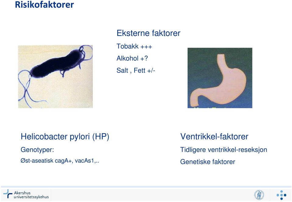 Genotyper: Øst-aseatisk caga+, vacas1,.